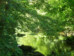Promenade La Glane (7)